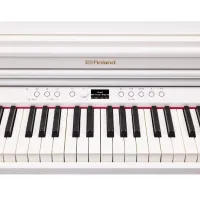 Цифровой пиан Roland RP701 DR Акустический / 88 клавиш / Split / Белый photo 5