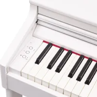 Цифровой пиан Roland RP701 DR Акустический / 88 клавиш / Split / Белый photo 6