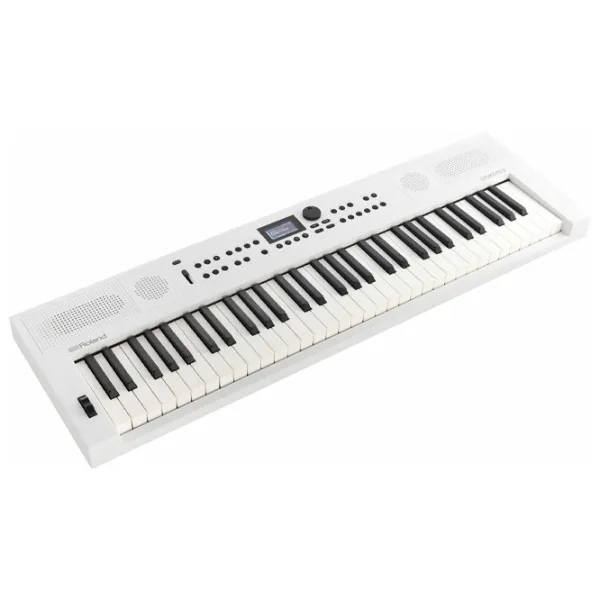 Sintetizator digital Roland GoKeys 5-GT 61 clape / 128 voci / Plastic / White photo 2