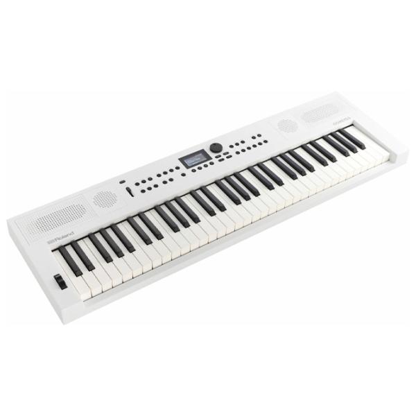 Sintetizator digital Roland GoKeys 5-GT 61 clape / 128 voci / Plastic / White photo 2
