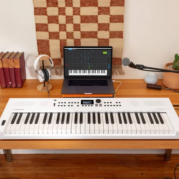 Sintetizator digital Roland GoKeys 5-GT 61 clape / 128 voci / Plastic / White photo 4
