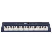 Цифровой синтезатор Roland GoKeys 3-MU 61 клавиш / 128 голоса / Пластик / Тёмно синий photo 3