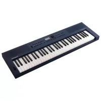Цифровой синтезатор Roland GoKeys 3-MU 61 клавиш / 128 голоса / Пластик / Тёмно синий photo 4