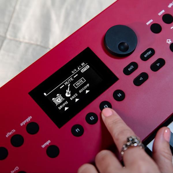 Sintetizator digital Roland GoKeys 3-RD 61 clape / 128 voci / Plastic / Red photo 7