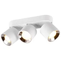 Светильник Trio GUAYANA 10 Вт / 