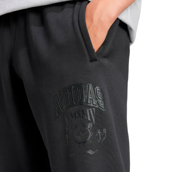 Спортивные брюки для мужчин Adidas Vrct Pants 1 M / Серый photo 5