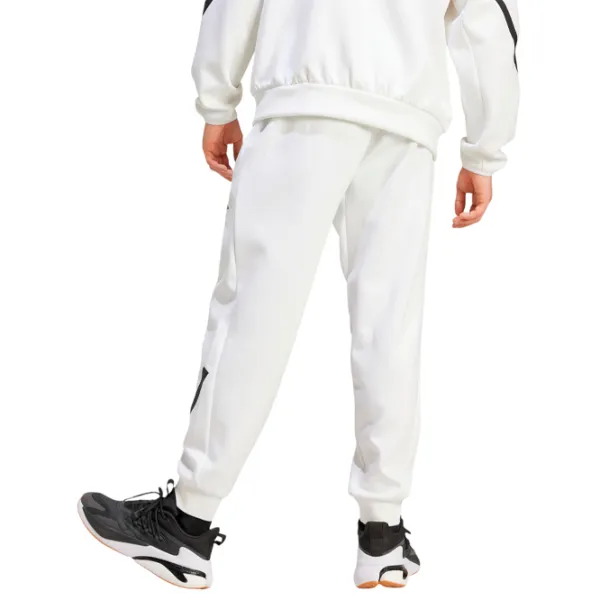 Спортивные брюки для мужчин Adidas M Z.N.E XL / Белый photo 3