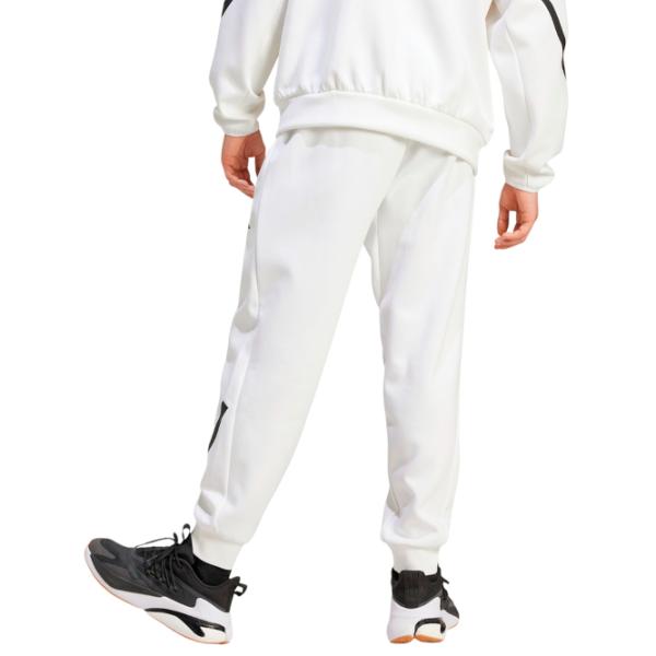 Спортивные брюки для мужчин Adidas M Z.N.E XL / Белый photo 3