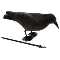 Figurină de gradină ProGarden Cioară Policeramică / Black