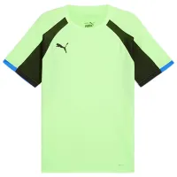 Tricou pentru bărbați Puma Individualliga Jersey Fizzy 100% poliester / Green