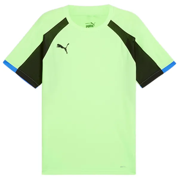 Футболка для мужчин Puma Individualliga Jersey Fizzy 100% полиэстер / Зеленый photo 1