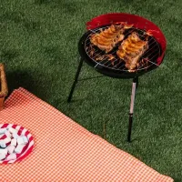 Мангал GardenLine BBQ5276 Брикеты, уголь / Портативный photo 5