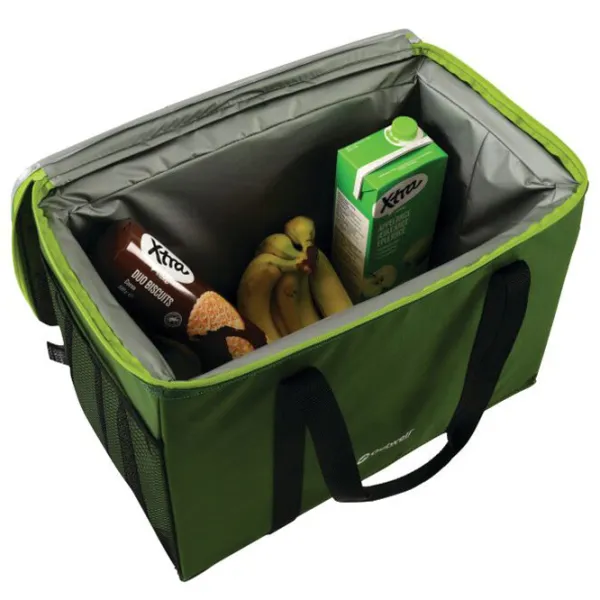 Geantă frigorifică Outwell Penguin L 25 l / / Green photo 3