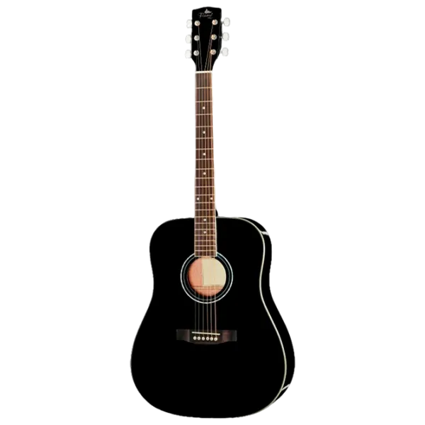 Chitară acustică Flame D120 LH 4/4, Dreadnought, Black photo 1