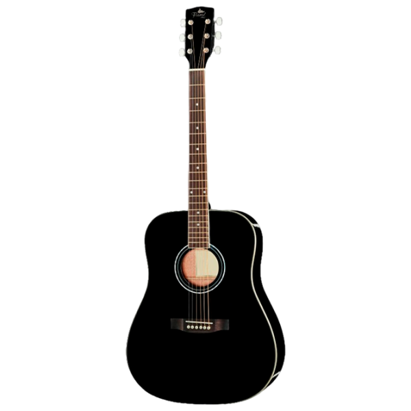 Chitară acustică Flame D120 LH 4/4, Dreadnought, Black photo 1