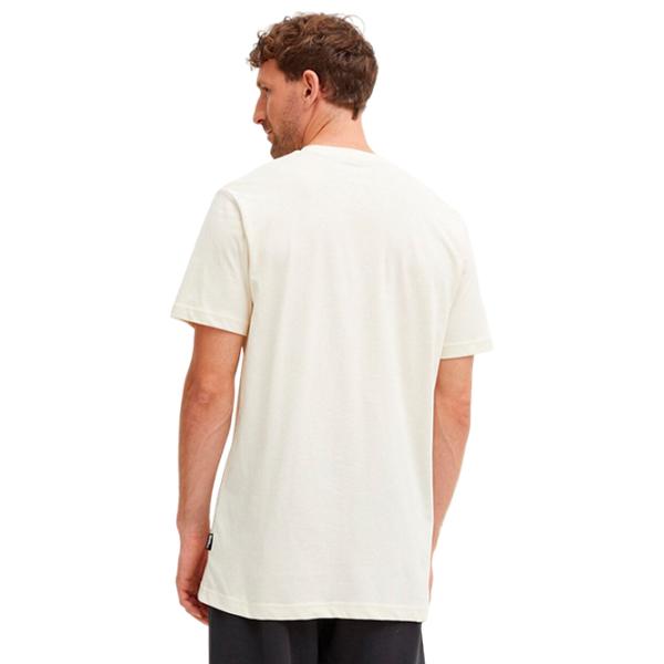 Tricou pentru bărbați Jack Wolfskin Bergblick T M 100% bumbac / Beige photo 3