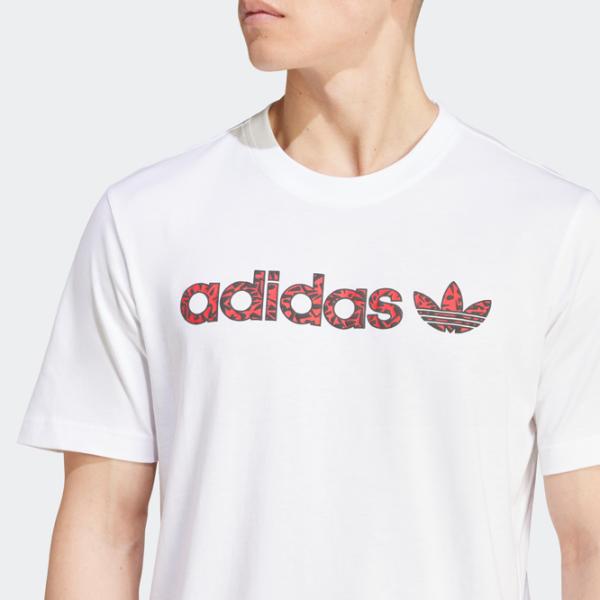 Tricou pentru bărbați Adidas Graphic Tee 100% bumbac / White photo 5