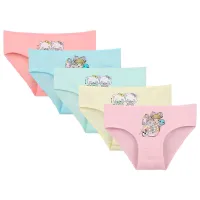 Трусики для девочек Donella 4111Y36 4 - 5 лет / 116