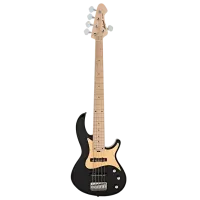 Chitară bas electrică ARIA Pro II RSB-618/5 4/4, 