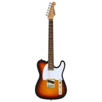 Электрогитара ARIA Pro II TEG-002 3TS 4/4, 