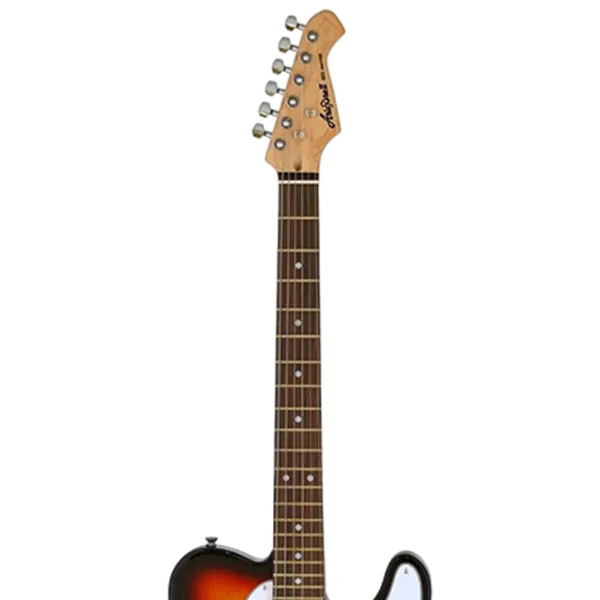 Chitară electrică ARIA Pro II TEG-002 3TS 4/4,  photo 10