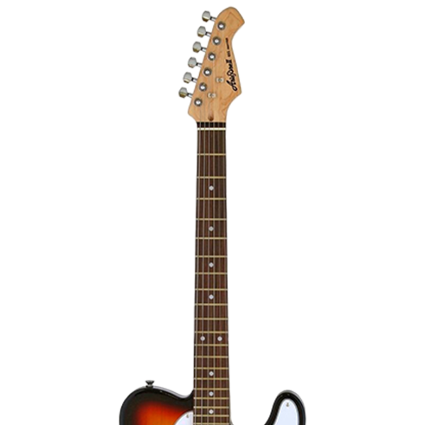 Chitară electrică ARIA Pro II TEG-002 3TS 4/4,  photo 10