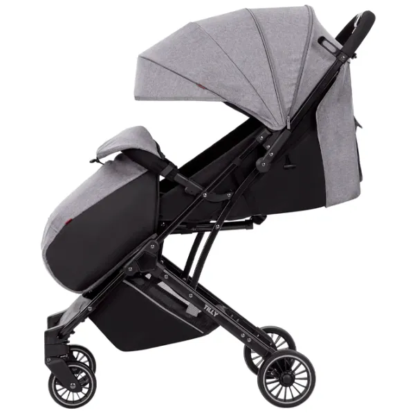 Cărucior pentru copil Tilly Bella T-163 / Gray photo 2