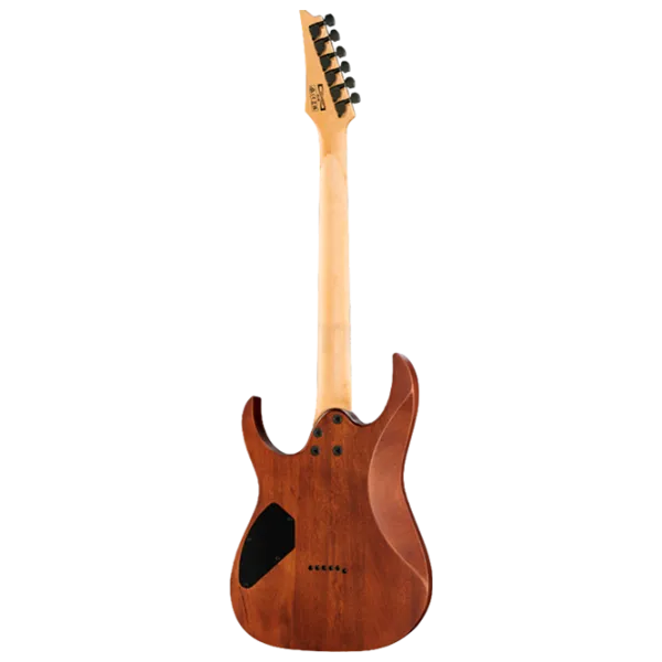 Электрогитара Ibanez GRG121DX WNF 4/4,  photo 2