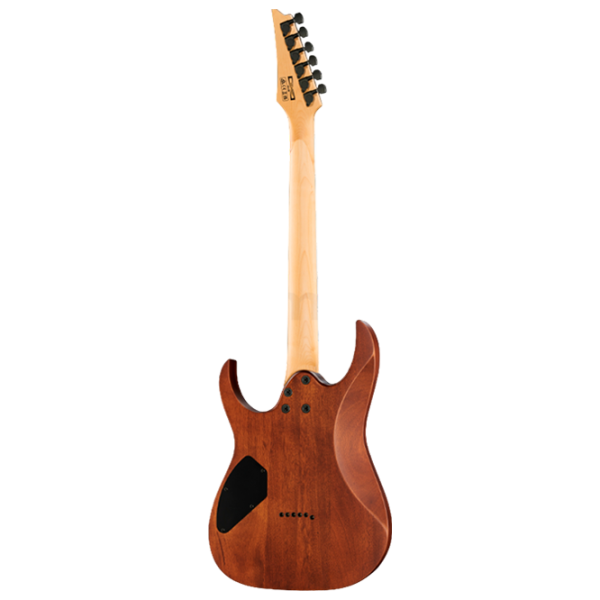 Электрогитара Ibanez GRG121DX WNF 4/4,  photo 2