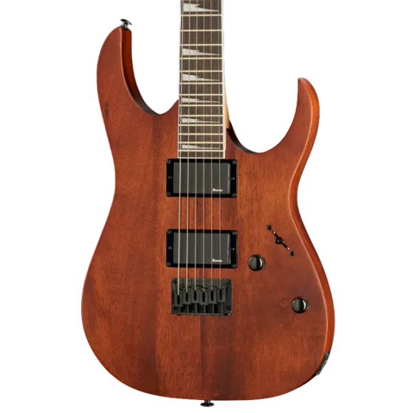 Электрогитара Ibanez GRG121DX WNF 4/4,  photo 3