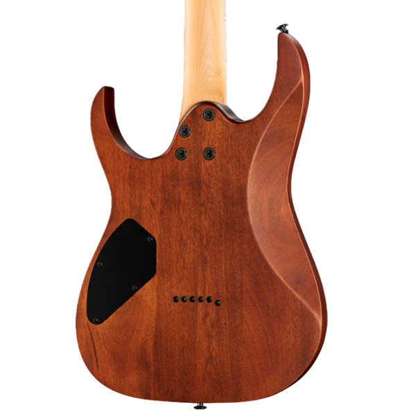Электрогитара Ibanez GRG121DX WNF 4/4,  photo 4