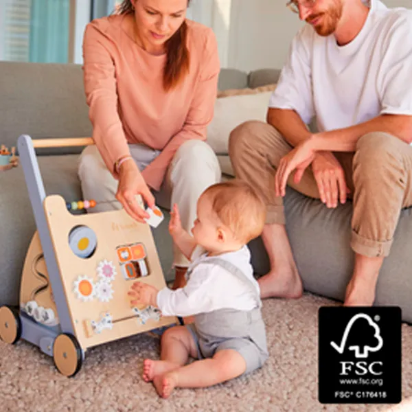 Ходунки Hauck Learn to Walk Skills (4894352813120) / Wooden photo 4
