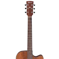 Электроакустическая гитара Ibanez AW54CE OPN 4/4, Dreadnought, Натуральный photo 2