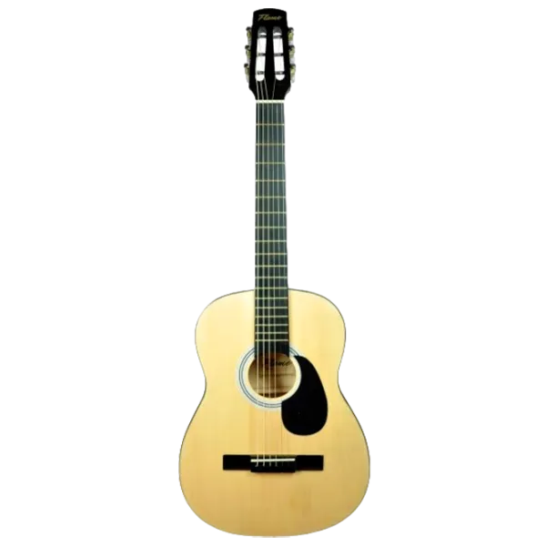 Chitară acustică Flame CAG 100 4/3, Dreadnought, Natural photo 1