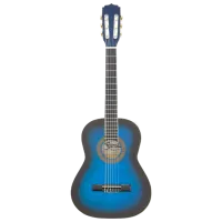 Классическая гитара Fiesta FST-200 4/4, Классическая, Синий