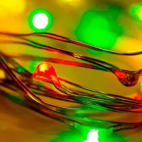 Гирлянды LED Rexant 303-009-1 / Разноцветные photo 2