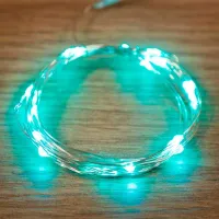 Гирлянды LED Rexant 303-004 / Синий photo 2