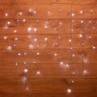 Гирлянды LED Rexant 255-065 / Белый photo 2