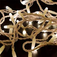 Гирлянды LED Rexant 305-266  / Тёплый белый