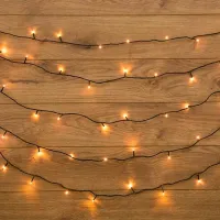 Гирлянды LED Rexant 303-026 / Тёплый белый photo 2