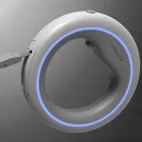 Поводок Xiaomi Mostar UFO XL / для собаки photo 3