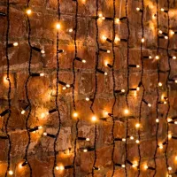 Гирлянды LED Rexant 235-126 / Тёплый белый photo 2