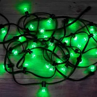 Luminițe decorative Rexant 331-324  / Green