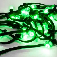 Гирлянды LED Rexant 331-324 / Зелёный photo 2
