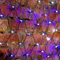 Гирлянды LED Rexant 215-032  / Синий