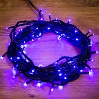 Гирлянды LED Rexant 303-133 / Синий photo 2