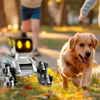Mașină JZL Eight-Wheeled Stunt Robot Dog 2950-1 / 2.4 GHz / Gray photo 7