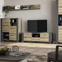 Тумба под телевизор Magnus Combo 46.2 x 140 x 42.1см / Дуб Эвок photo 3