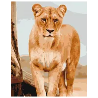 Pictură pe numere BrushMe Tânără leoaică BS52392FC 50 x 40 cm / Verticală