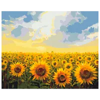 Картина по номерам BrushMe Поле подсолнухов BS135FC 50 x 40 см / Горизонтальная